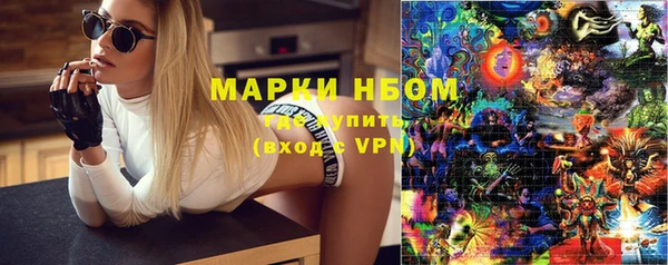 PSILOCYBIN Аркадак