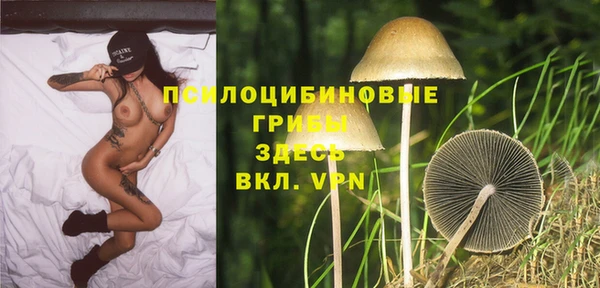 PSILOCYBIN Аркадак