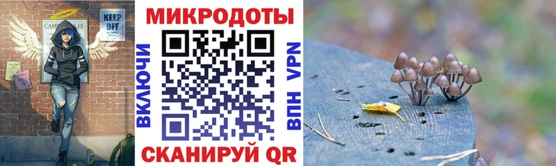 Псилоцибиновые грибы мицелий  Купить  Заинск 